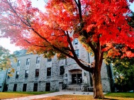 Fall Colours on Queen's Campus
